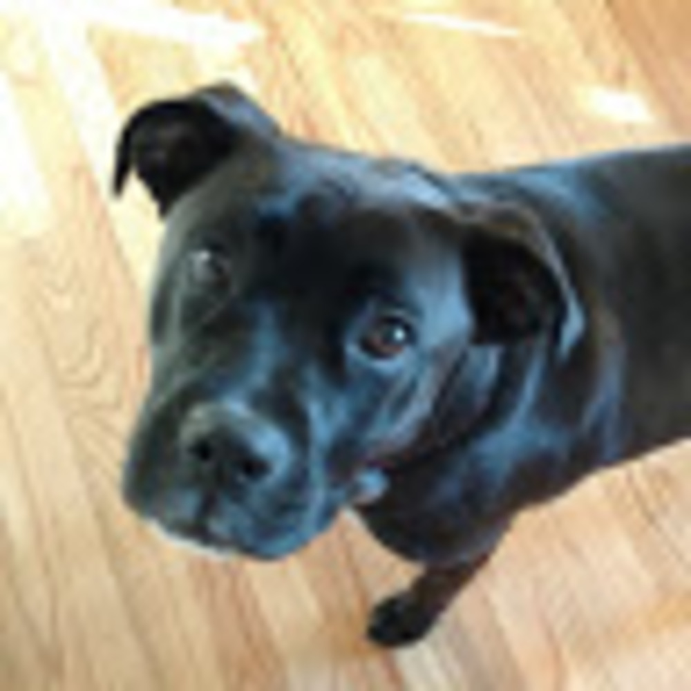 Meet your Posher, Rhonda